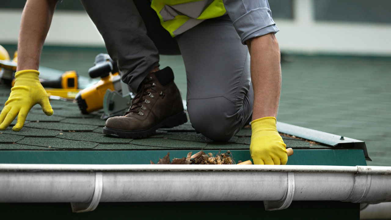 window repair services