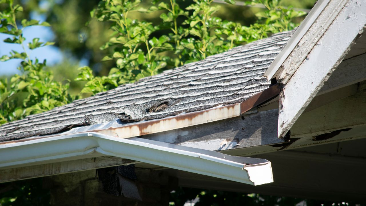 roof maintenance in Illinois