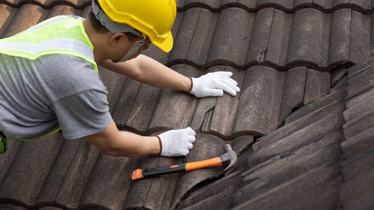 roofing contractor