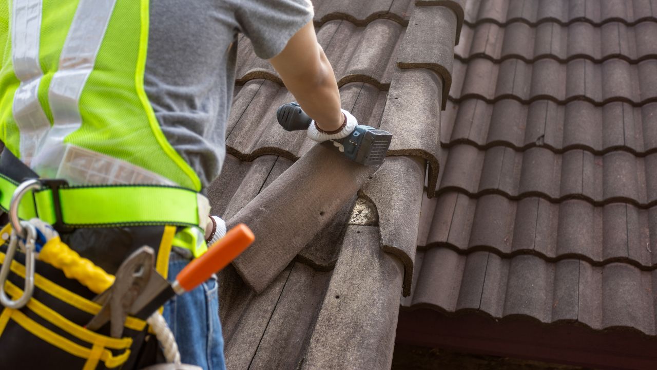roof repair services can also help address issues