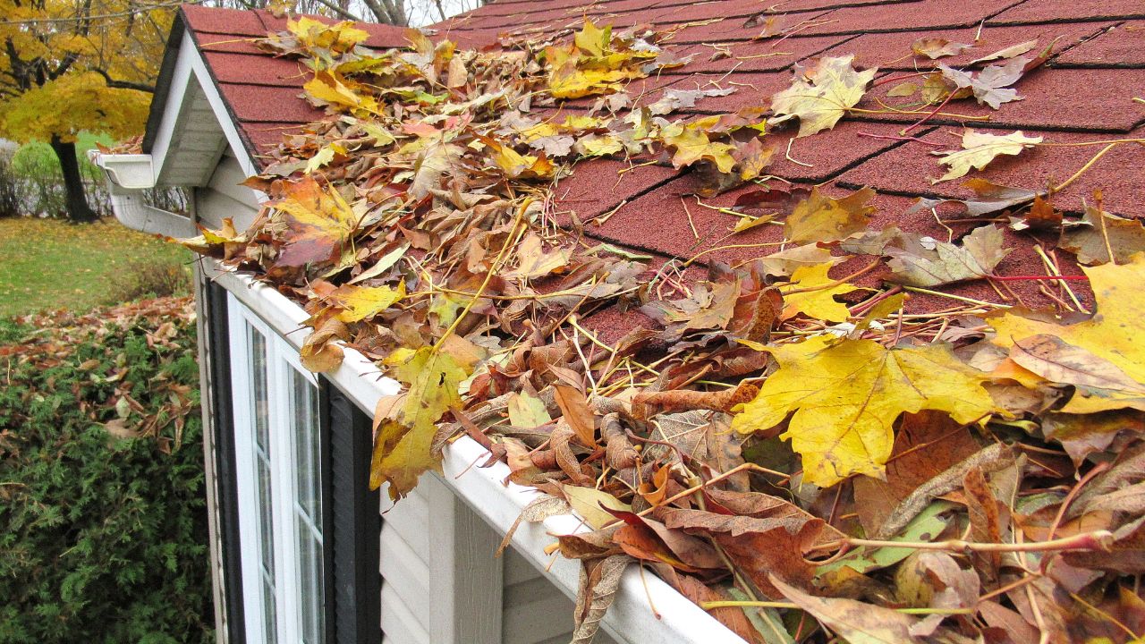 heaviest accumulation