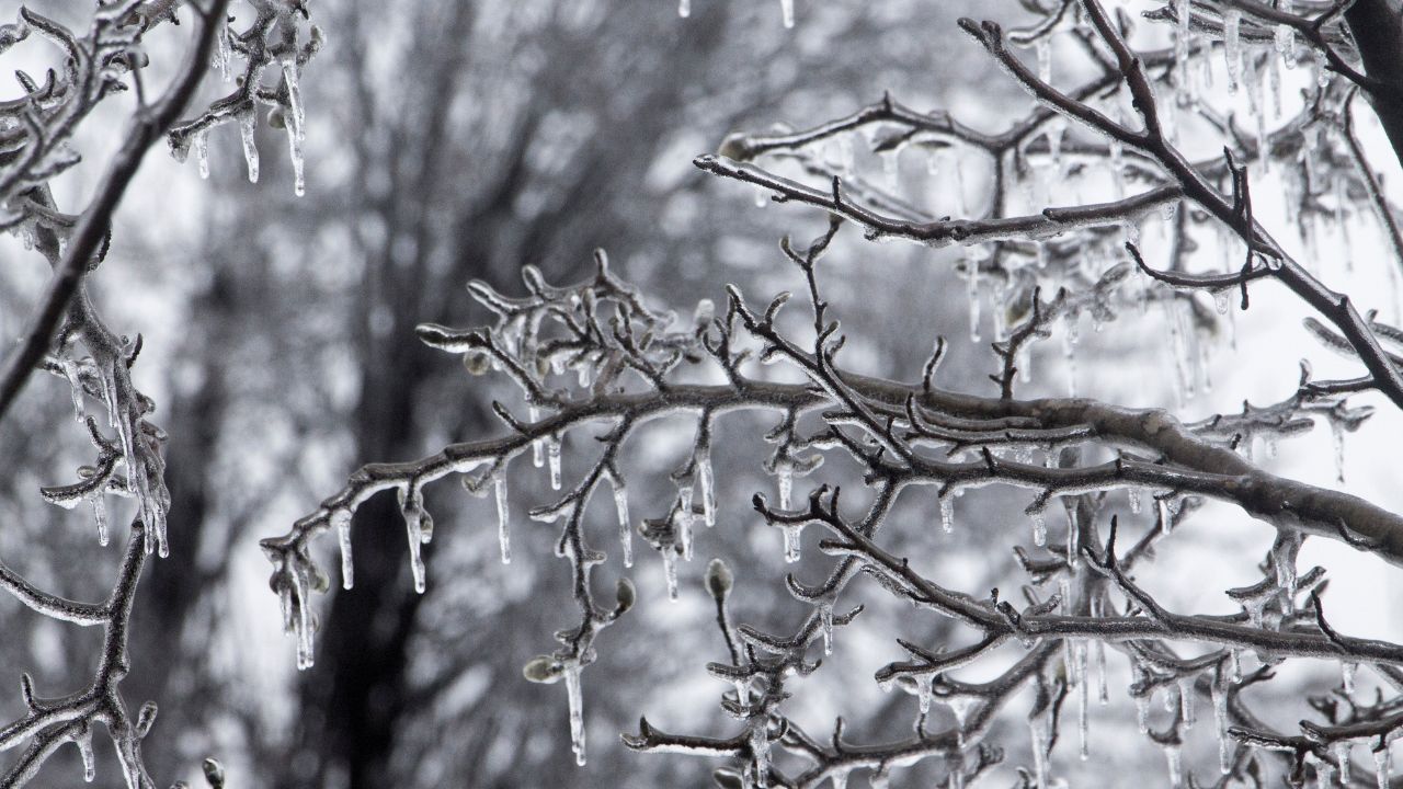 prevent roof damage winter